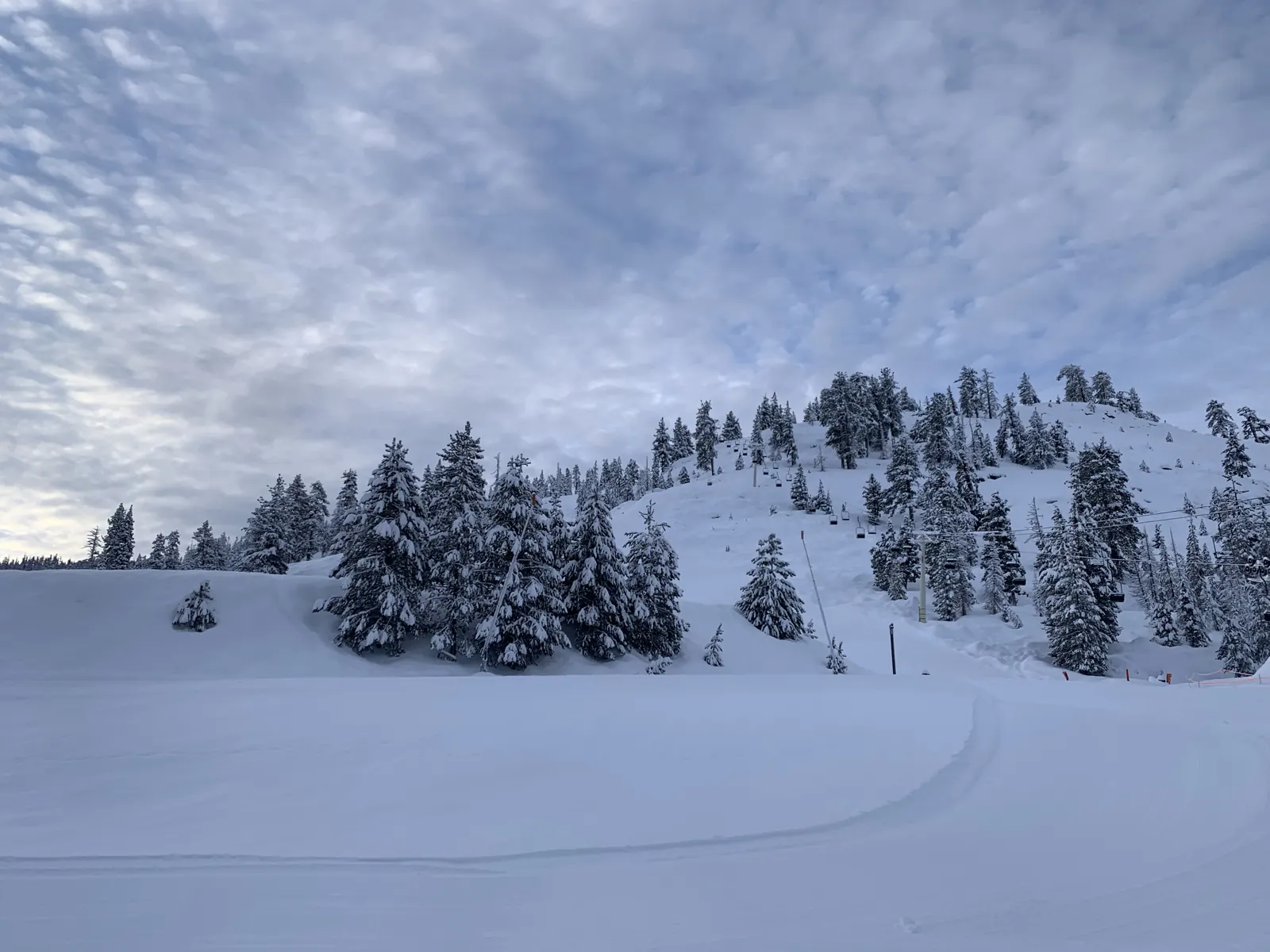 Groomed ski run and snow-covered pines at China Peak Mountain Resort