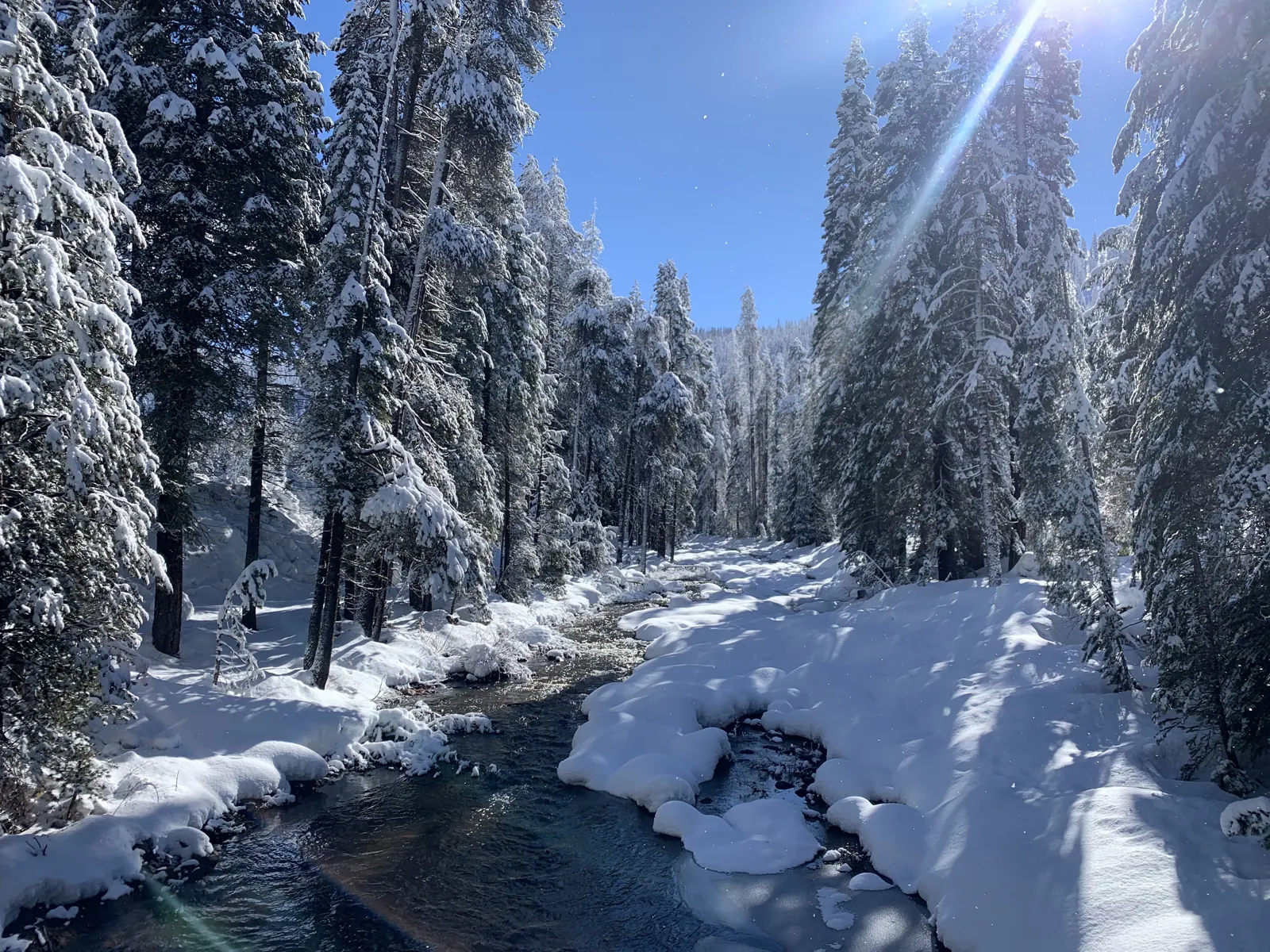 Snowy creek winding through a pine forest near China Peak