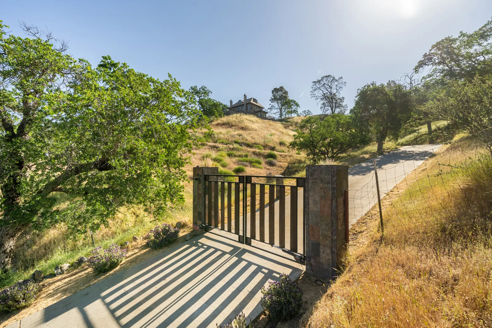 Gate and path leading out to the oak-studded hills