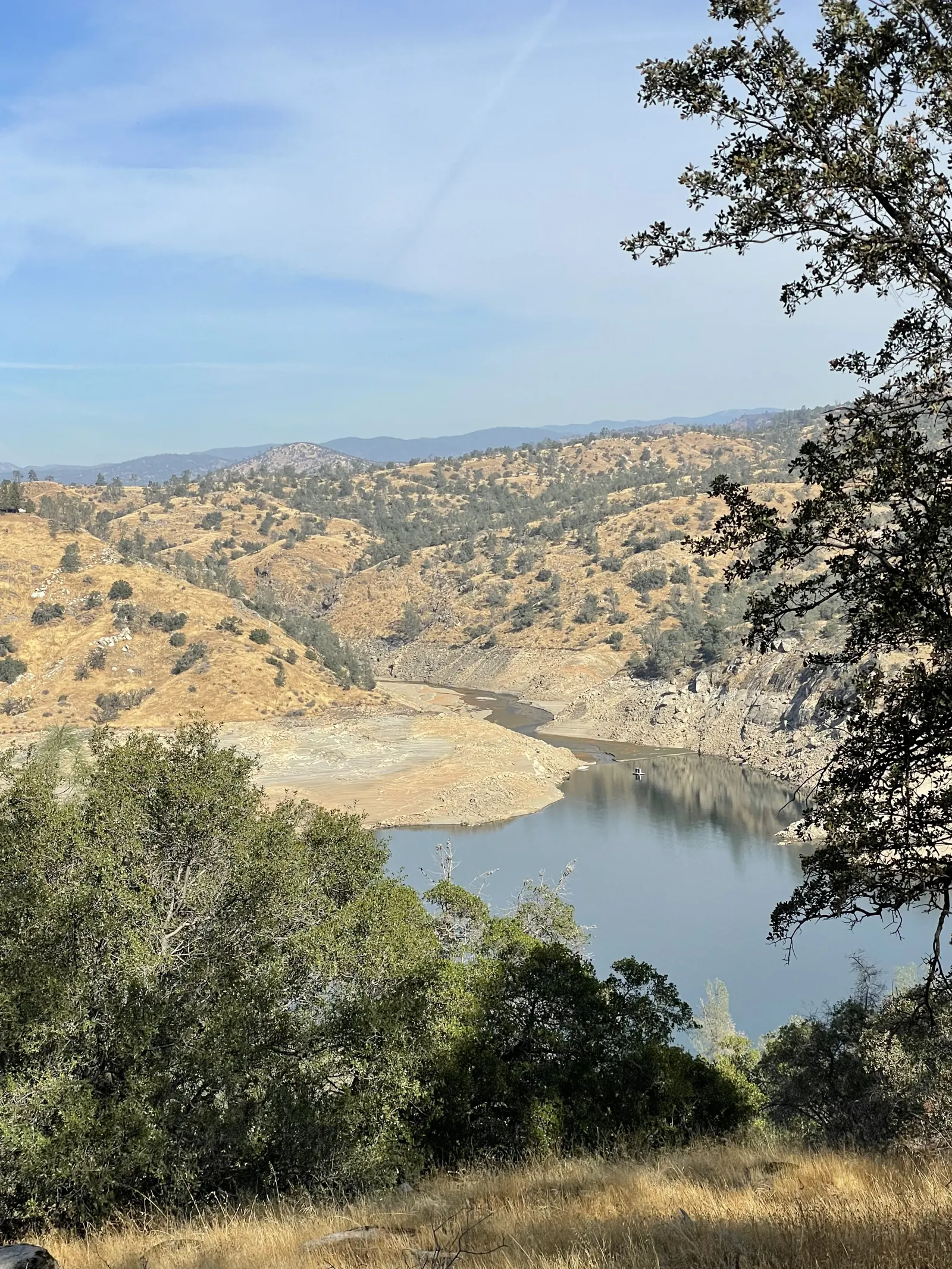 Millerton Lake seen through the oaks from a nearby hiking trail