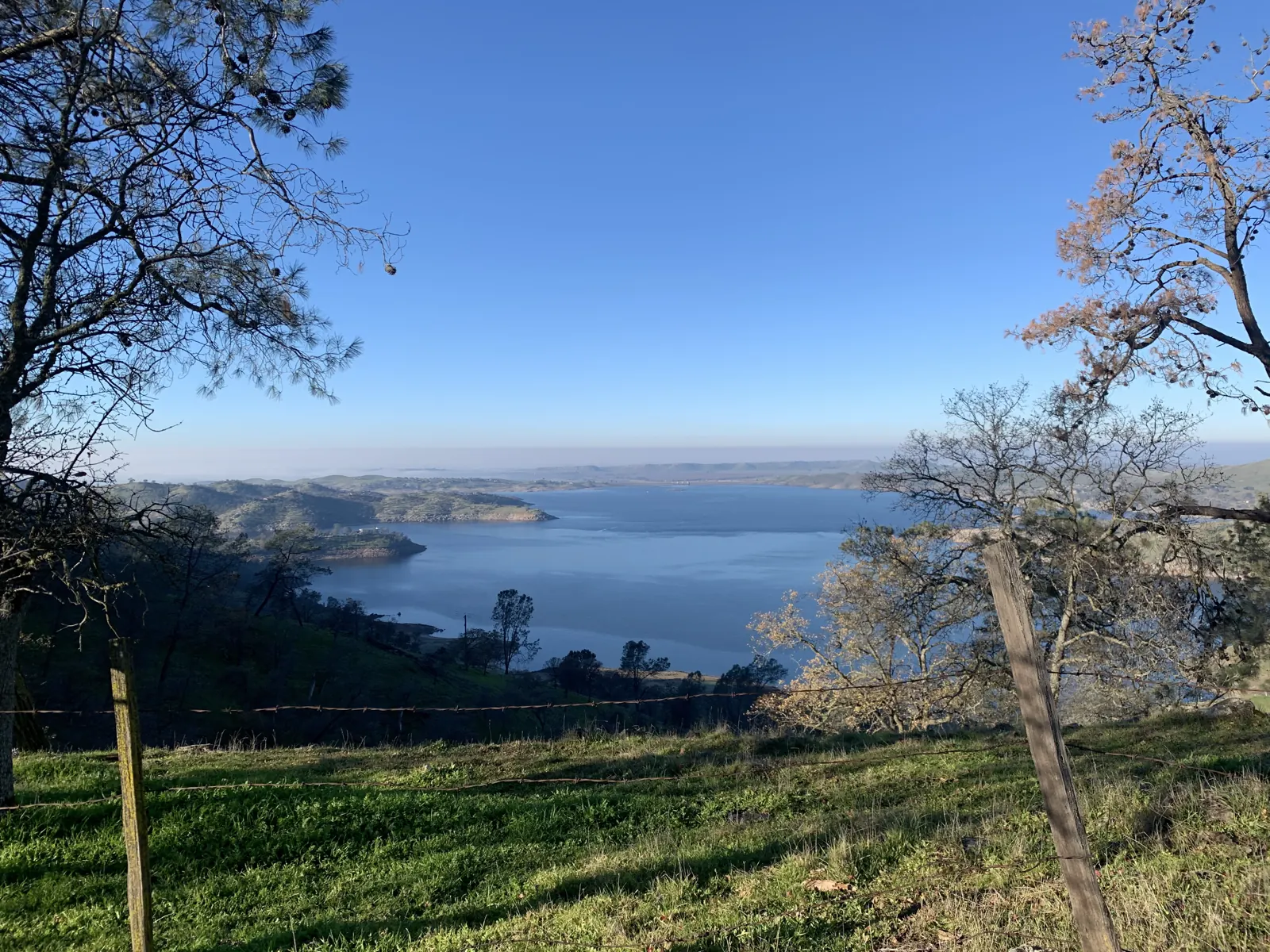 Millerton Lake beyond a green hillside, oaks and a ranch fence
