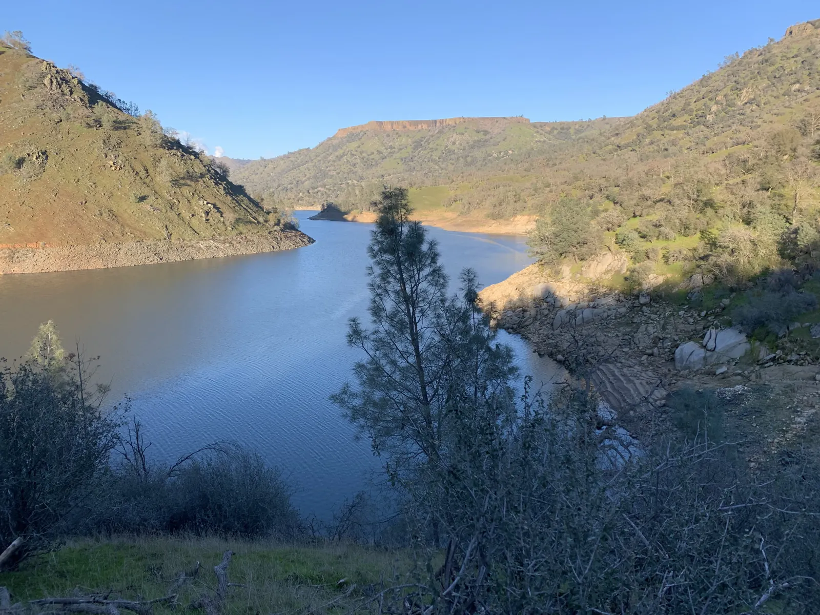Millerton Lake winding between the hills, seen through the pines from above